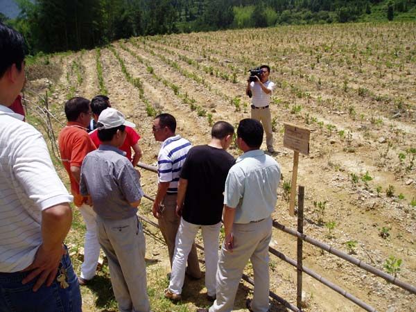 ����´��ڷ�����ͼ