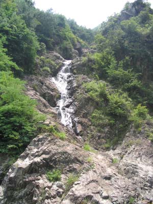 ����´��ڷ�����ͼ