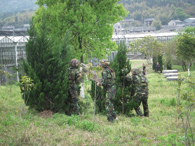 ����´��ڷ�����ͼ