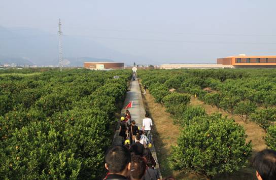 ����´��ڷ�����ͼ