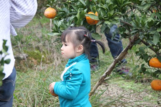 ����´��ڷ�����ͼ